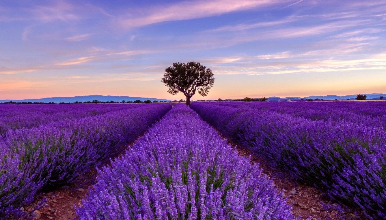 volutions rcentes du courtage en crdit immobilier en 2025